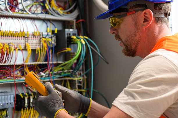 Best Electric Panel Repair  in Rossvle, IL